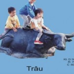 Con trâu