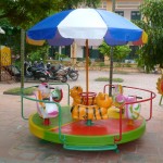 Đu quay 6 con giống